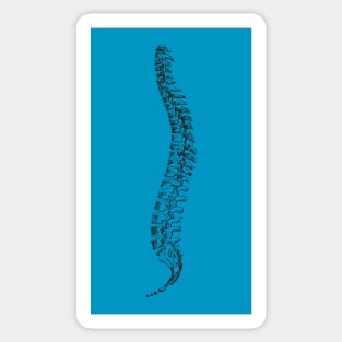 Spine anatomy Sticker